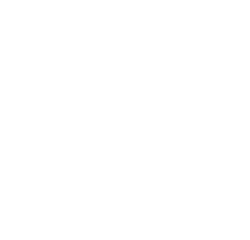 google-premier-partner-white-1